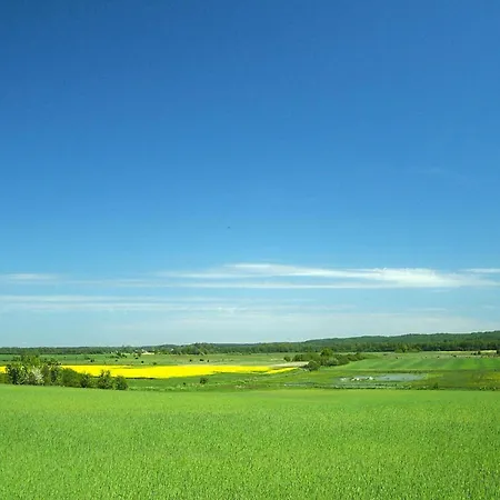 Summer House In Near Seaside Casa vacanze *